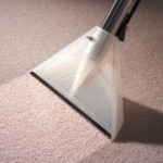 carpet-cleaning-wand1-224x300